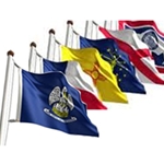 3x5 State Flags