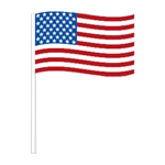 American Flag<br>Antenna Pennants<br>Economy