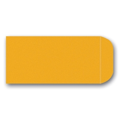 LICENSE PLATE ENVELOPES